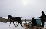 Одно из поселений эстонцев в Красноярском крае