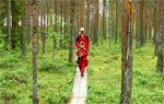 Средние затраты экотуриста в Эстонии составляют 1300 евро 