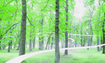 Необыкновенная инсталляция «Дорожка в лесу» завершит проект LIFT11