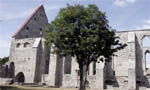 Руины монастыря святой Бригитты в Таллинне. Фото: Scanpix/Postimees