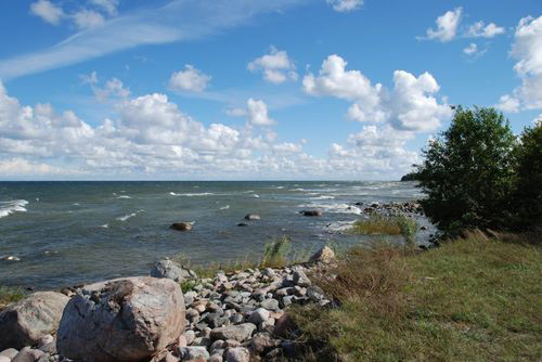 Остров Сааремаа самое экологически чистое место в Эстонии