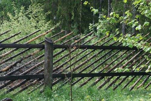 Изгородь возле яхт-клуба тоже необычная