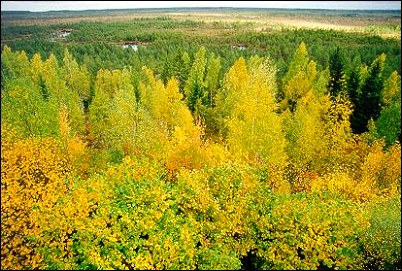 Ландшафтный заказник Пыхья-Кырвемаа